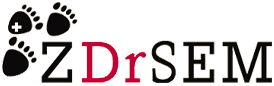 Logo ZDrSEM